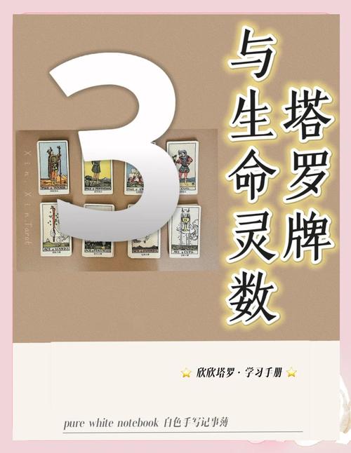 塔罗与灵数,揭秘生命奥秘!